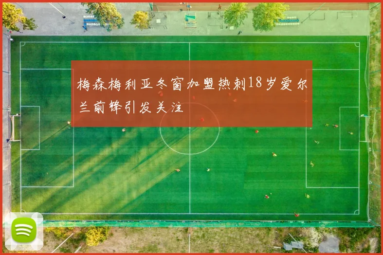 梅森梅利亚冬窗加盟热刺18岁爱尔兰前锋引发关注